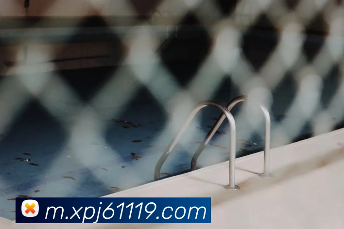 App Interface Preview