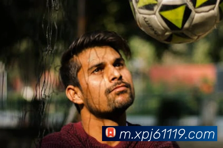 新葡京娱乐APP 封面图